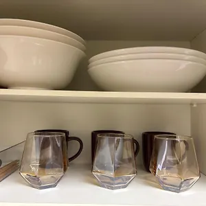 Flora Otemachi/フローラ大手町 アパート 広島市